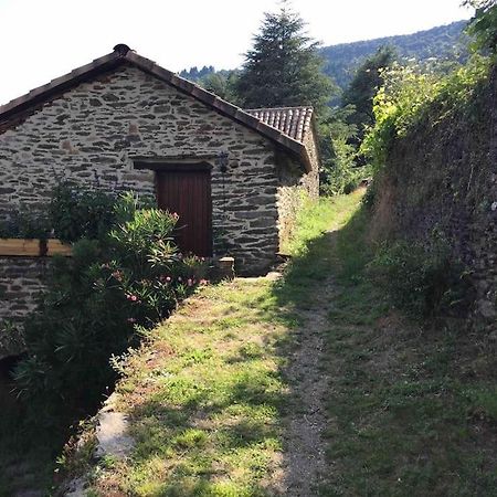 Maison Rurale Au Coeur Des Cevennes Ardechoises Dompnac Exteriör bild