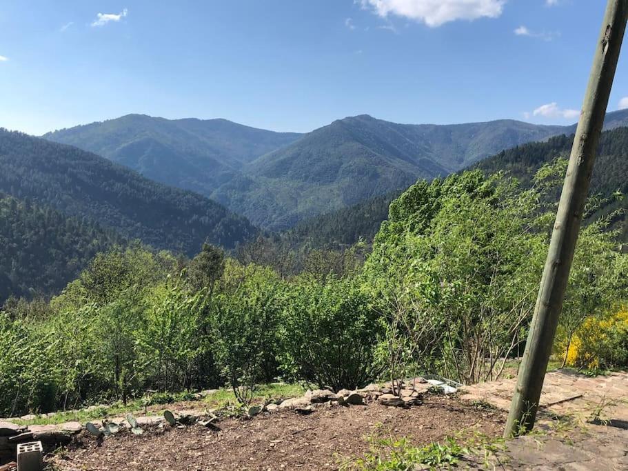 Maison Rurale Au Coeur Des Cevennes Ardechoises Dompnac Exteriör bild